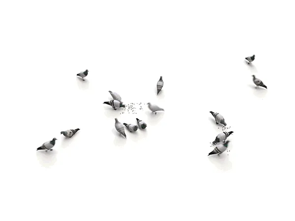 Ground Pigeons Set (Animated)